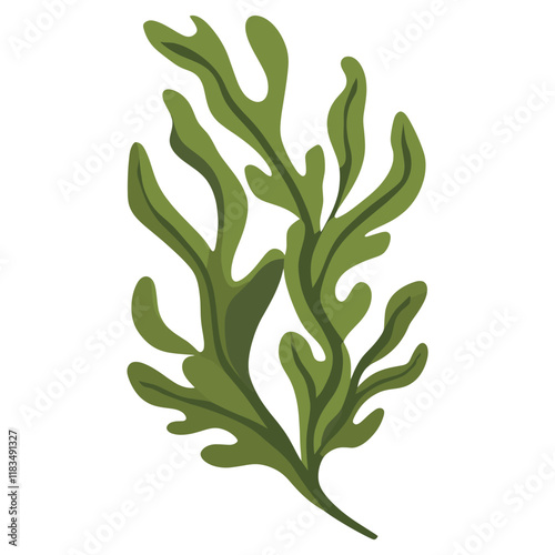 Green seaweed leaf illustration plant vegetable vector