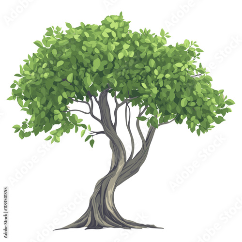 Banyan tree illustration art environmental vector