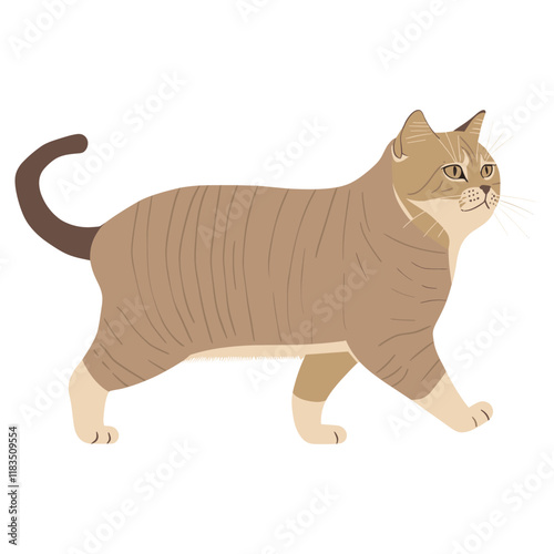 British shorthair cat walking illustration stylized animal vector