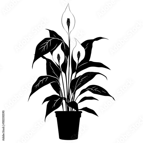 Potted plant with peace lily silhouette potted black vector