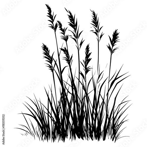 Silhouette grass illustration plant vector