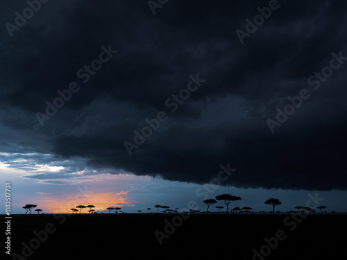 A Powerful Thunderstorm Approaches the Maasai Mara in Kenya, Where the Setting Sun Meets Dark Clouds and Silhouetted Acacia Trees, Capturing the Beauty and Drama of the African Savannah