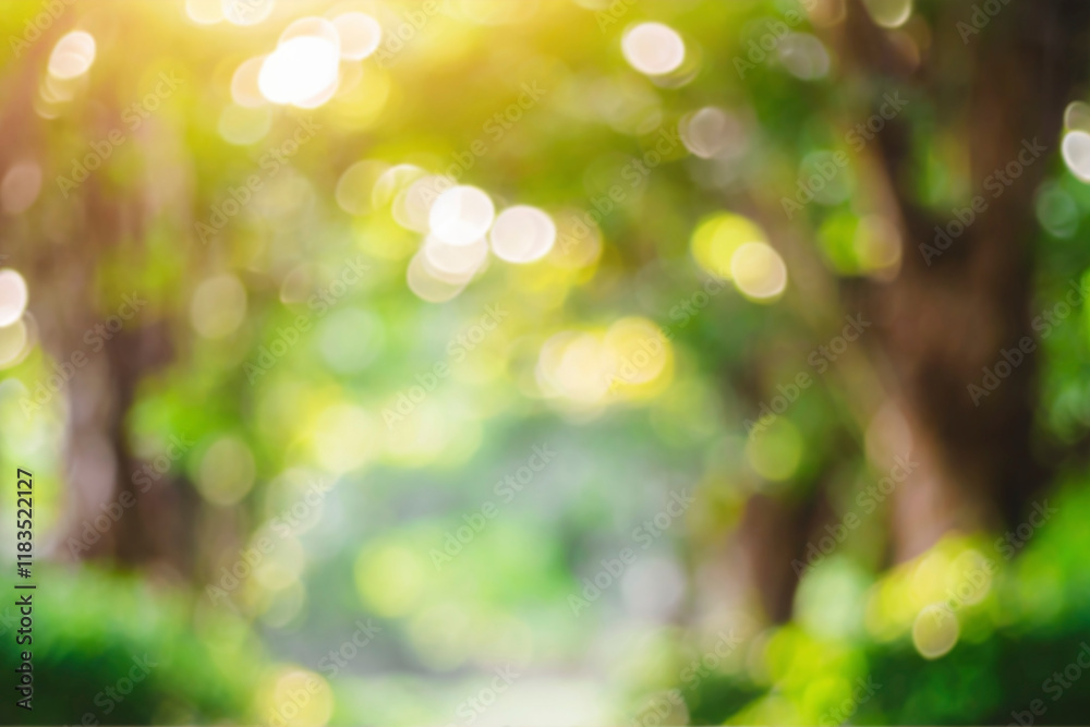 Obraz premium defocused bokeh and blur background of garden trees.