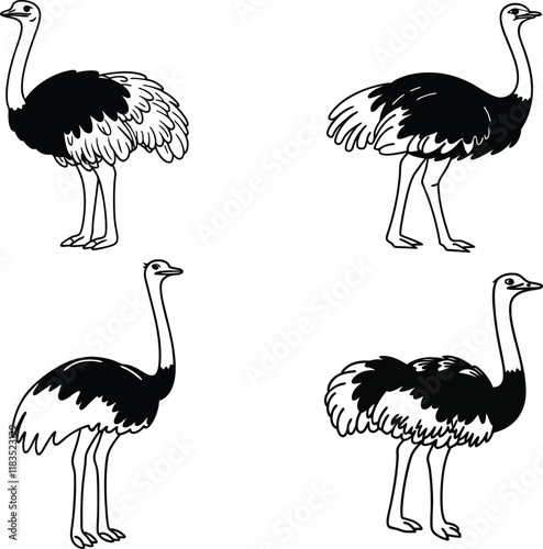 Ostrich bundle line art and illustrator eps