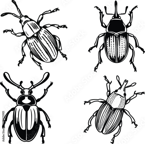 Weevil bundle line art and illustrator eps