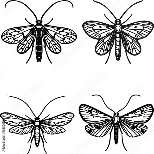 Caddisfly bundle line art and illustrator eps