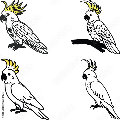 Cockatoo bird bundle line art and illustrator eps
