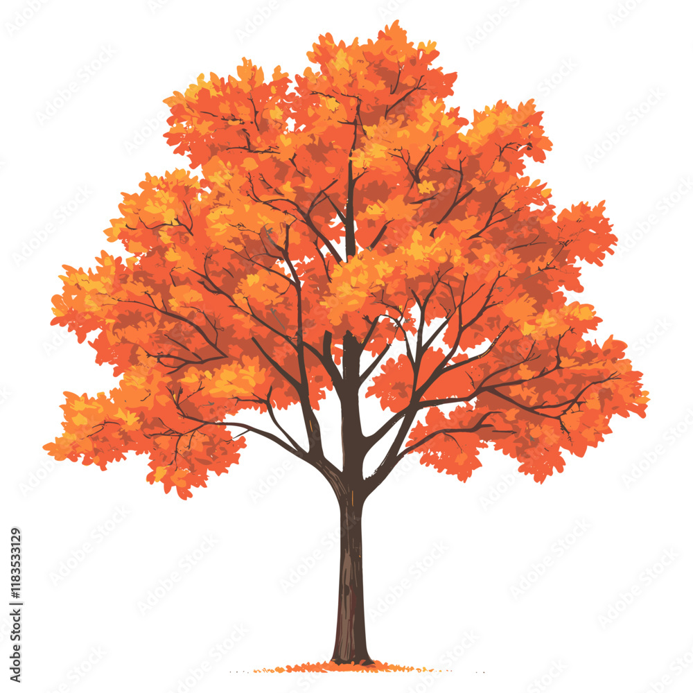Maple tree illustration leaves leaf vector