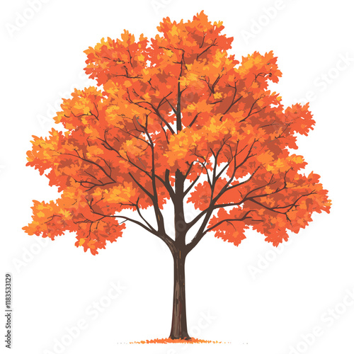 Maple tree illustration leaves leaf vector