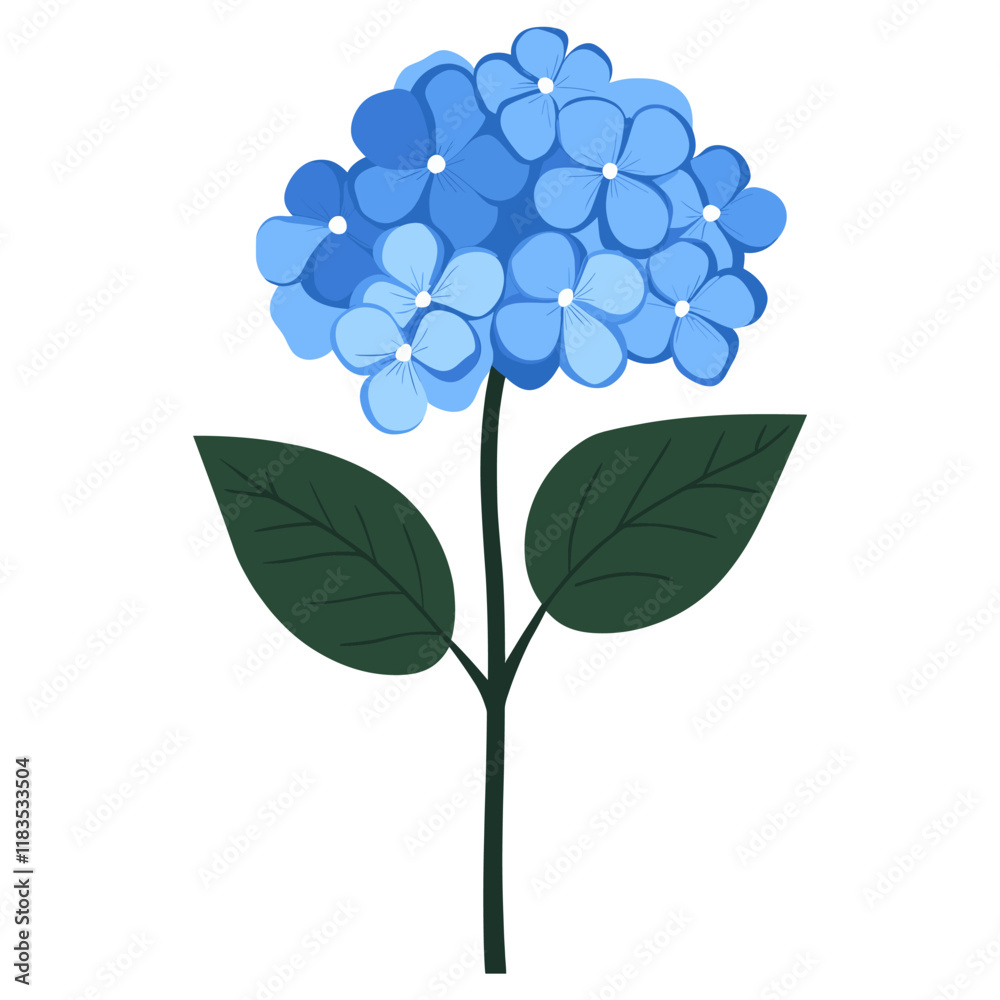 Obraz premium Blue Hydrangea Blooms art illustration hydrangea vector