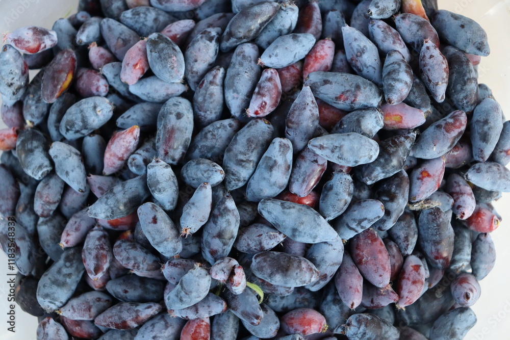 dried berries background. Lots of honeysuckle in a bag. Macro photo of honeysuckle berries. dried berries background. Lots of honeysuckle in a bag. Macro photo of honeysuckle berries.