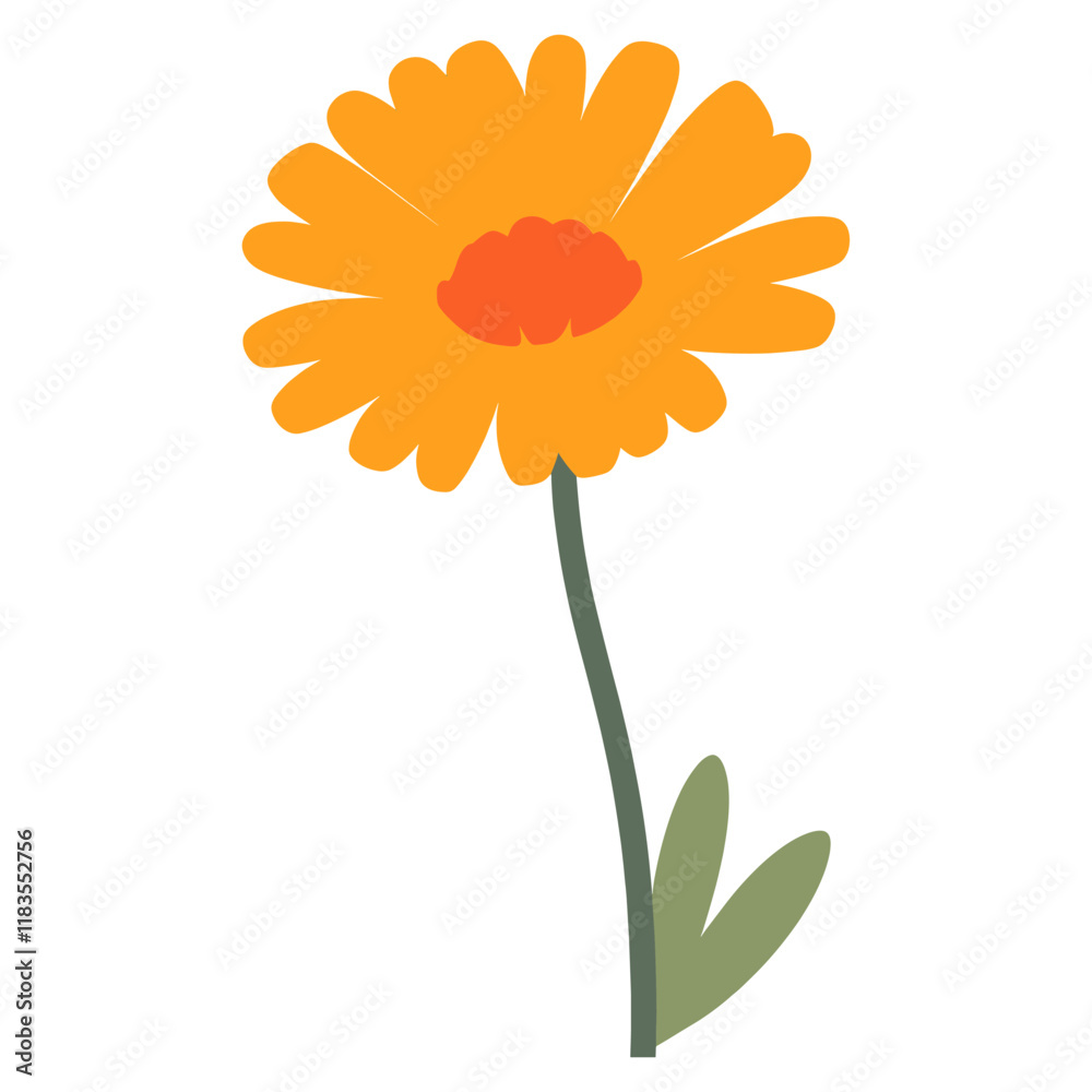 Calendula flower illustration simple art vector Calendula flower illustration simple art vector