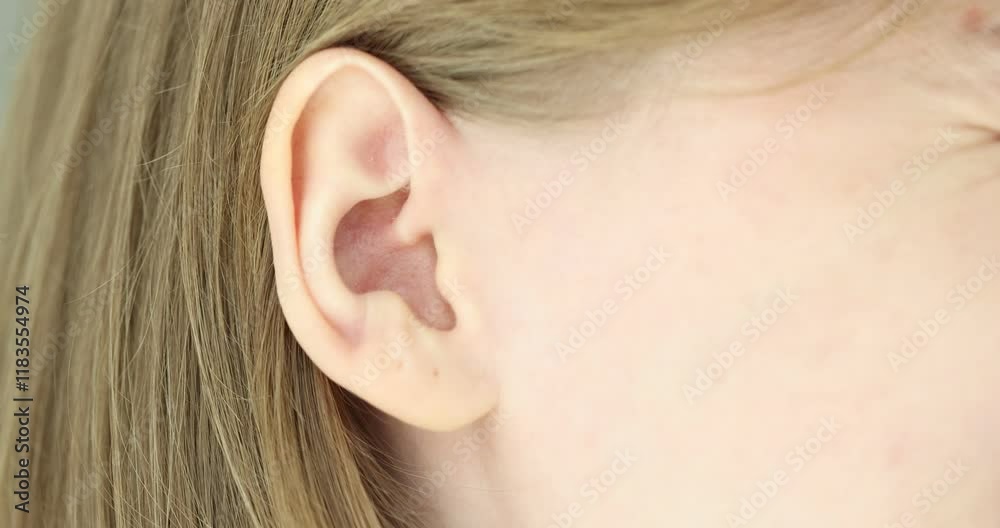 Understanding the structure and function of the human ear through detailed examination Understanding the structure and function of the human ear through detailed examination