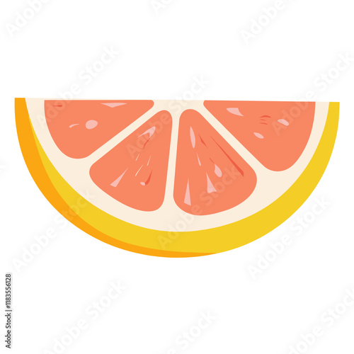 Orange half illustration grapefruit minimalist vector