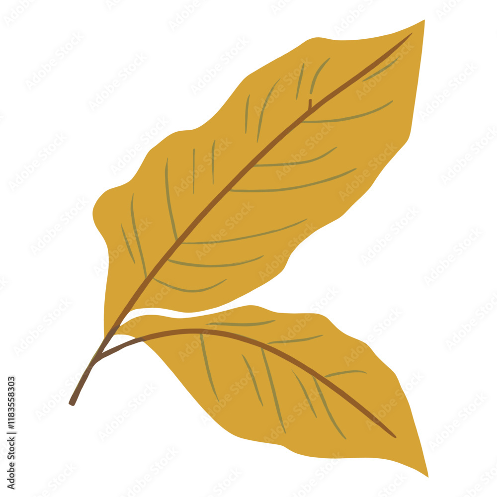 Spring leaves leaf illustration herbal vector Spring leaves leaf illustration herbal vector