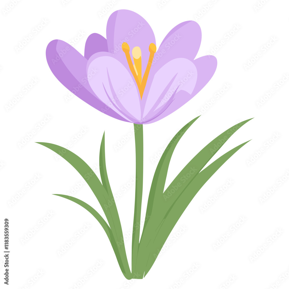 Naklejka premium Crocus flower crocus illustration vector