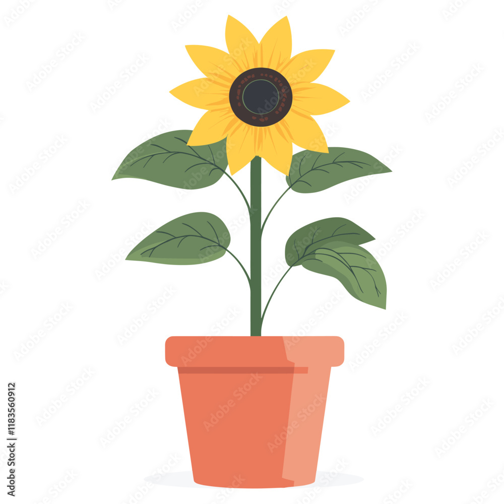 Obraz premium Sunflower potted plant illustration art terracotta vector
