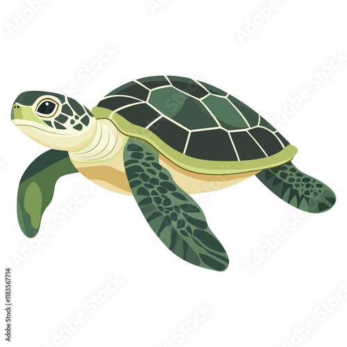 Sea turtle illustration animal marine vector