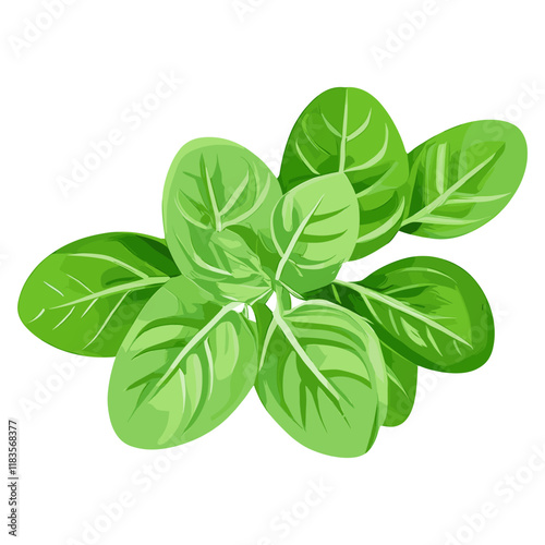 Leaves herbs leaf illustration vector