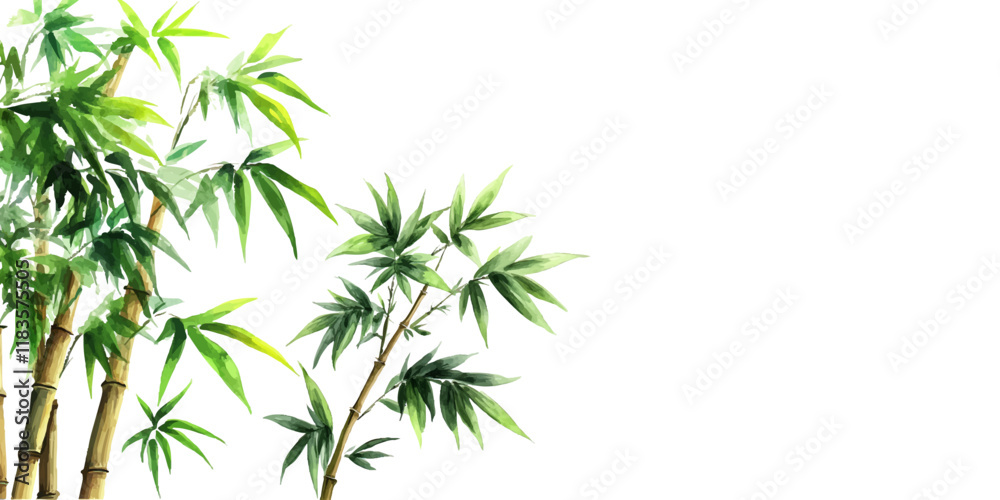 Chinese ink painting style bamboo Simple drawing style white background Chinese ink painting style bamboo Simple drawing style white background