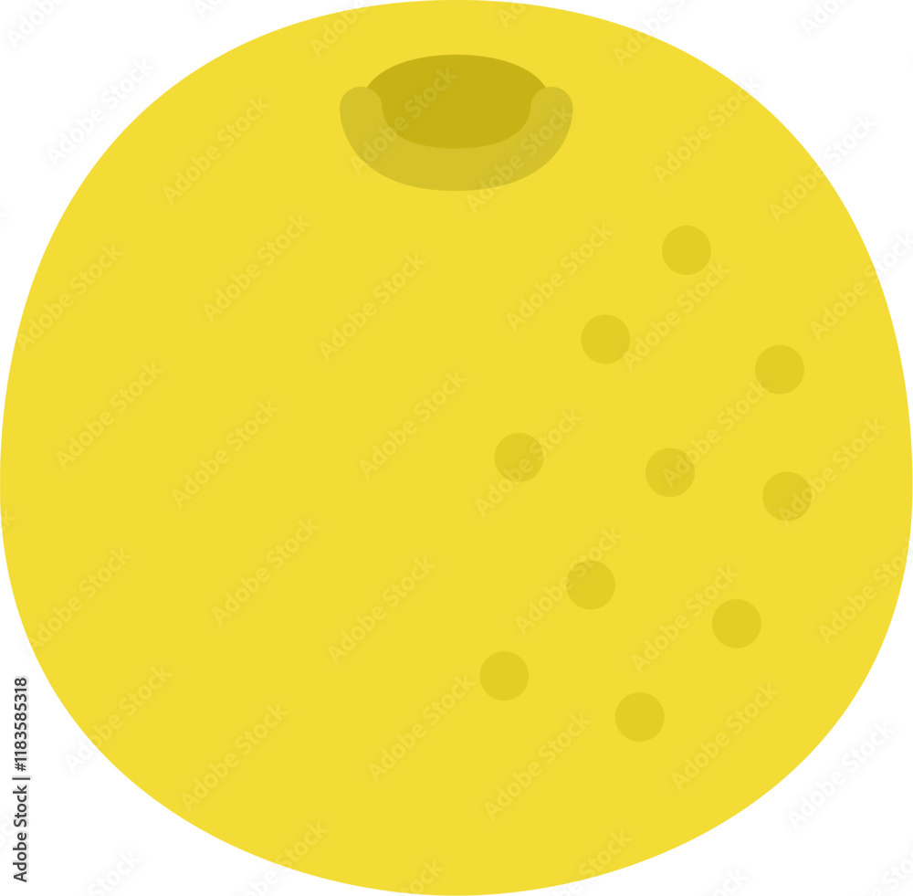 Fototapeta premium グレープフルーツのアイコンのイラスト