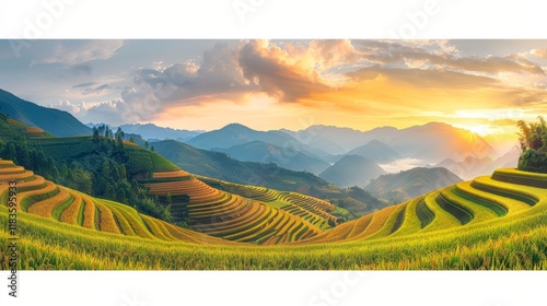Breathtaking sunset over mu cang chai rice terraces during harvest season in northern vietnam
