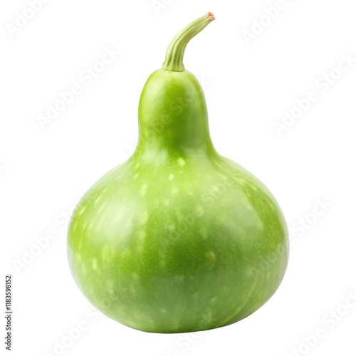 Bottle gourd calabash isolated on transparent background photo