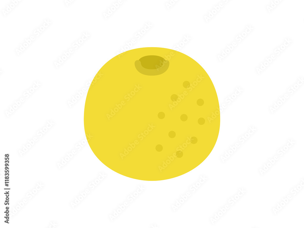 Obraz premium グレープフルーツのアイコンのイラスト