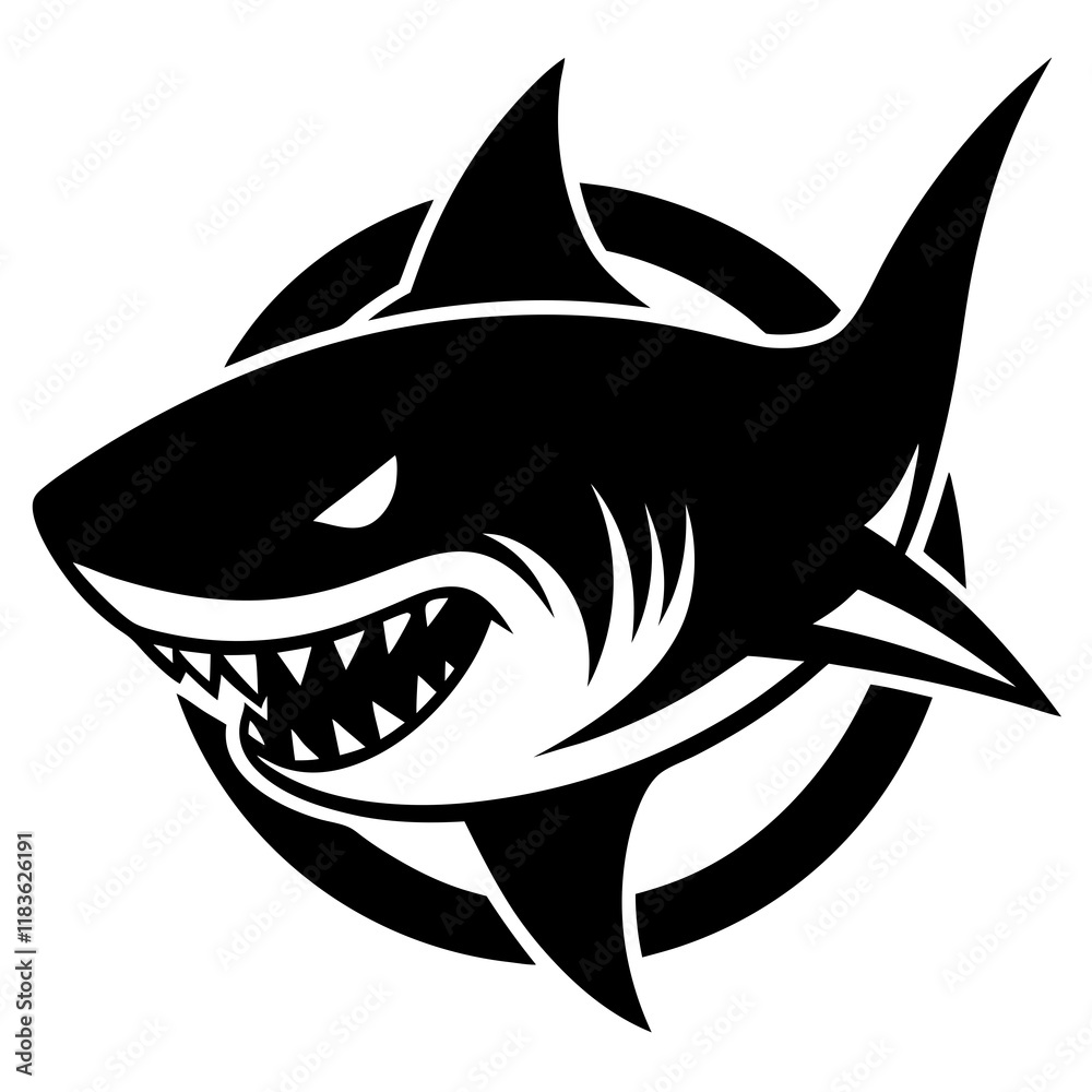 shark illustration shark illustration