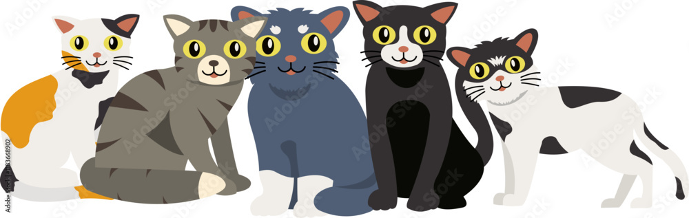 Obraz premium International Cat Day