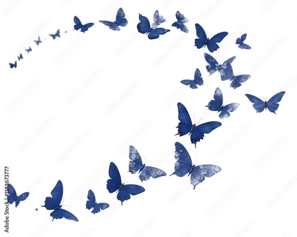 Obraz premium swirl of vibrant blue butterflies gracefully flutters through air, creating mesmerizing and delicate pattern. high detail their wings showcases intricate textures and shades of blue, evoking sense