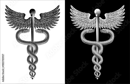 Caduceus staff of Hermes medical or commerce symbol. Snakes around a winged rod. Often used in place of the rod of Asclepius doctor icon for medicine and health care. Vintage woodcut etching style.