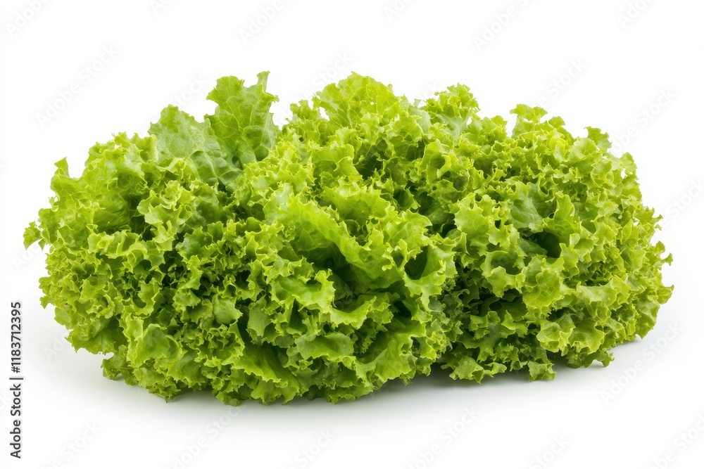 Fresh vegetable salad with green lettuce on a white background Fresh vegetable salad with green lettuce on a white background