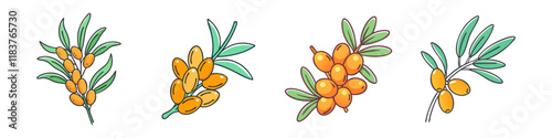 sea buckthorn vector icon, fruit vector illustration - simple illustration of sea buckthorn perfect for logos, and fruit-themed designs.