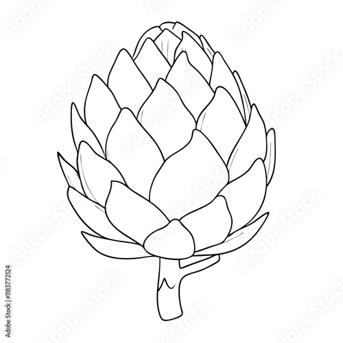 Artichoke Vegetable Line Art. Vector illustration 