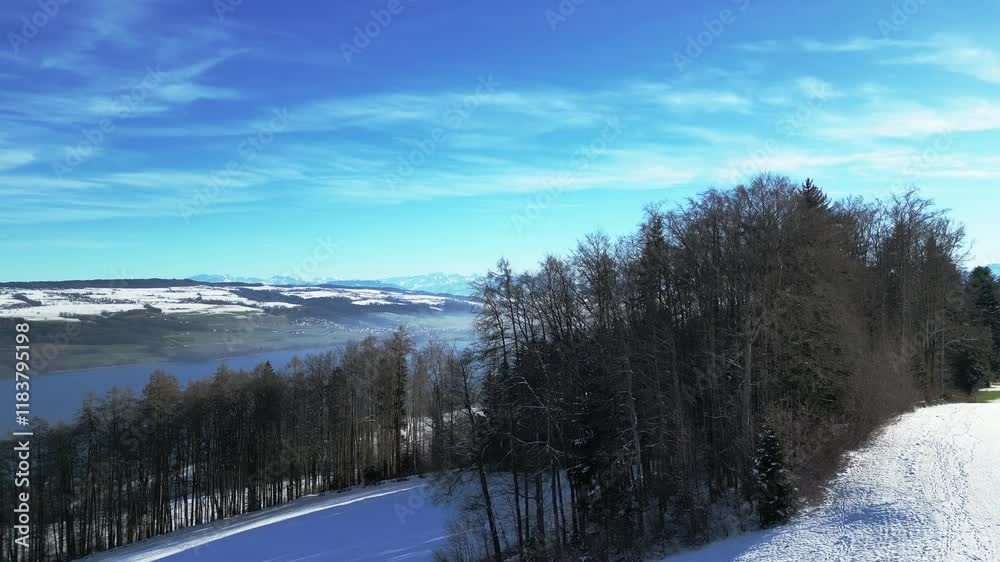Flying up (aerial) behind a group of trees to reveal a lake and the Swiss Alps in the background. Flying up (aerial) behind a group of trees to reveal a lake and the Swiss Alps in the background.