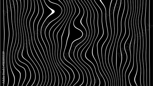 Dynamic and stylish abstract animation featuring flowing white lines against a black background. Black and white lines. Seamless animation of abstract wavy lines