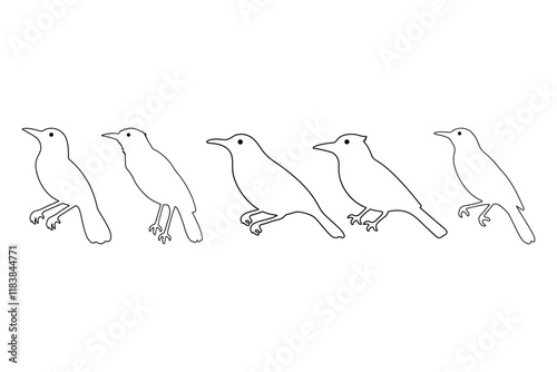 Outline Oriole Bird Illustration Design Set