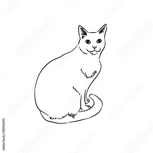 Cat line art with many pose - coloring book 