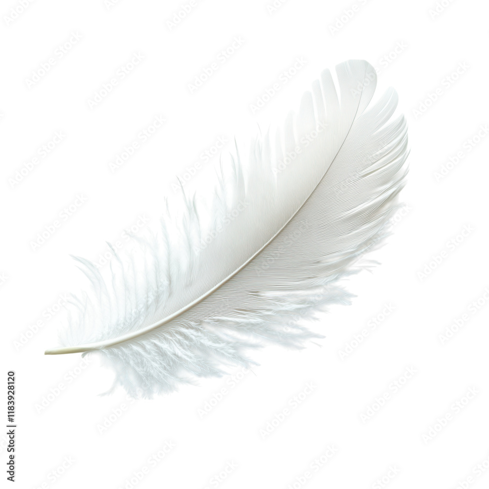Obraz premium Delicate white feather drifting softly on a pure white canvas, embodying tranquility and simplicity, perfect for minimalist designs