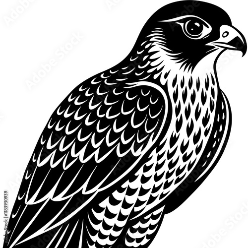 Elegant Falcon Illustration - High-Quality Bird of Prey Artwork"