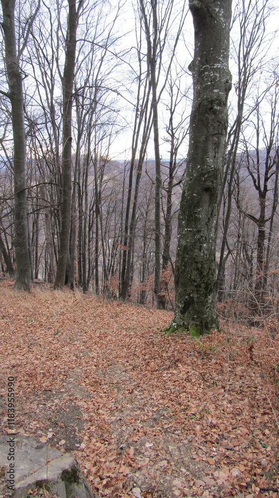 Fototapeta premium Romania, resort, mountains, Carpathians, recreation, tourism, slopes, rivers, rocks, waterfalls, mineral water sources, spring, ski slope, sculptures, temple, church, architecture, pine trees on the s