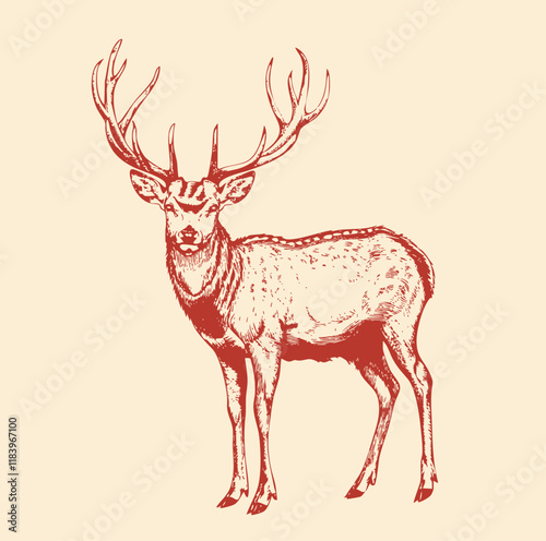 Deer. Sketchy, black and white, hand drawn portrait of a deer head