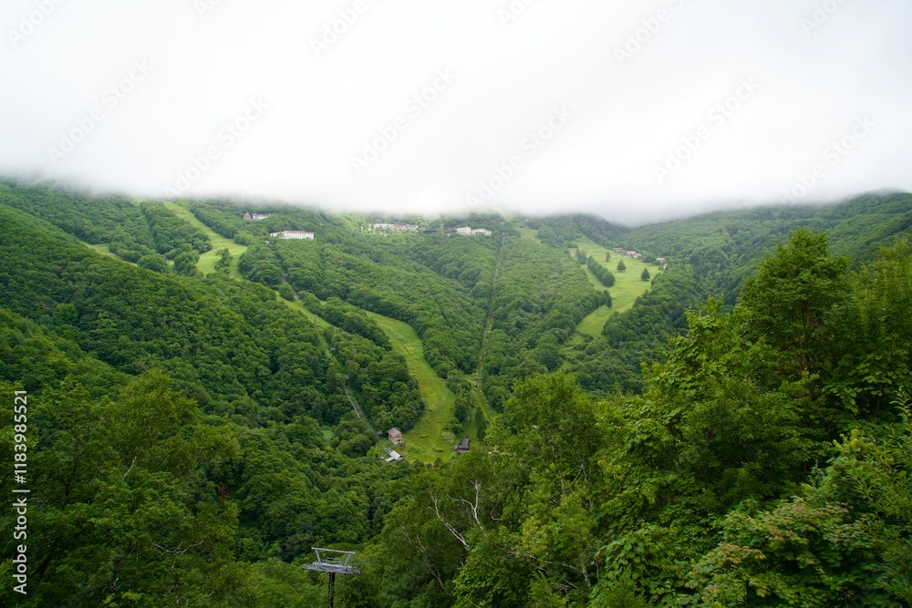Obraz premium Scenery of Shiga Highlands in Summer