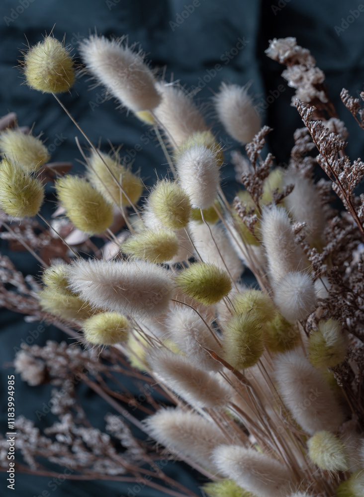 Dry fluffy bunny tails grass flowers bouquet (Hares tail grass) on Dark background. Dried lagurus ovatus flowers, use it as your Wallpaper, Poster and Space for text, Selective focus.
