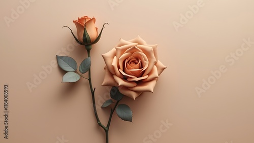 Minimalist Brown Rose, Single Blooming Flower on Beige Background - Elegant Botanical Illustration