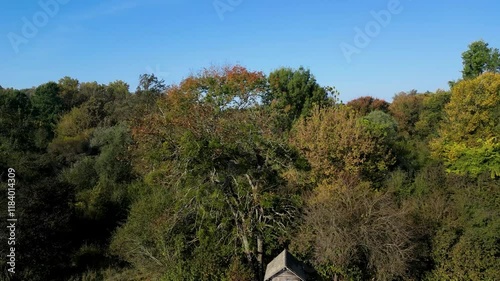Wooden treehouse surrounded by lush forest on a sunny day with vibrant autumn colors in the background