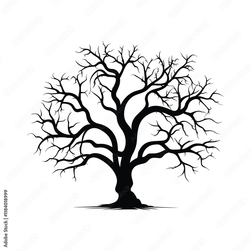 Obraz premium Naked Tree vector silhouette black color