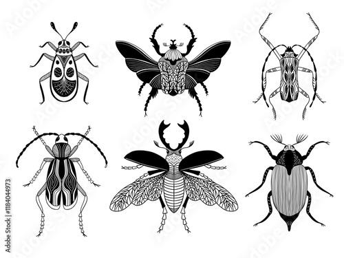 Hand drawn bugs set. Beetle, chafer, scarab, stag beetle