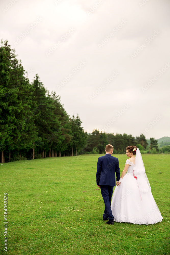 A bride and groom are walking together in a field. The bride is wearing a white dress and the groom is wearing a suit. Scene is romantic and happy A bride and groom are walking together in a field. The bride is wearing a white dress and the groom is wearing a suit. Scene is romantic and happy
